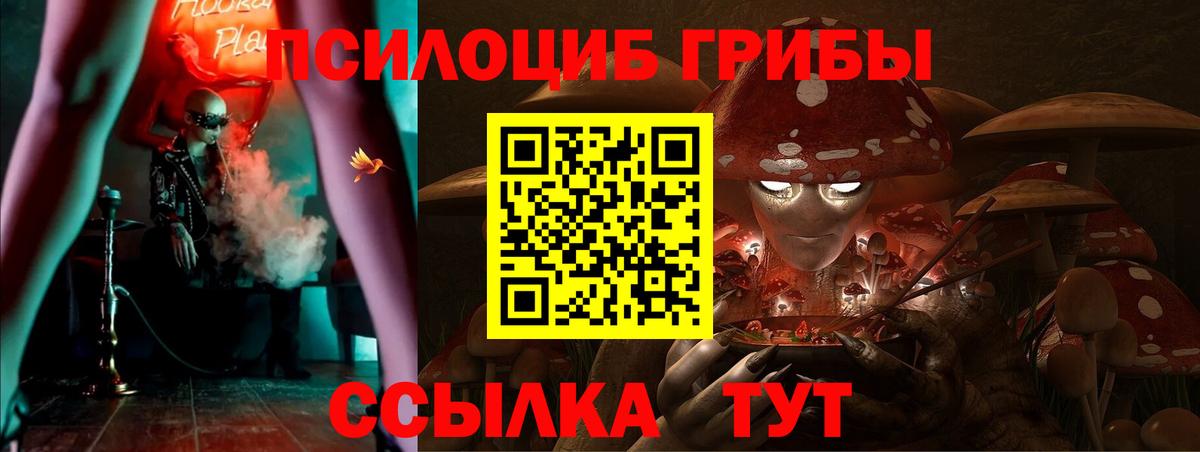 Галлюциногенные грибы Psilocybine cubensis  Вход с VPN  Иркутск 